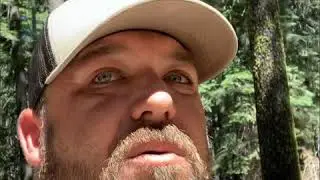 Northern California trailcam set ups for deer and bear