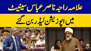 Allama Raja Nasir Abbas Becomes Opposition Leader in Senate | Dawn News