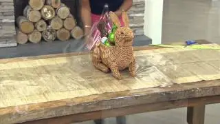 ED On Air: Animal Baskets