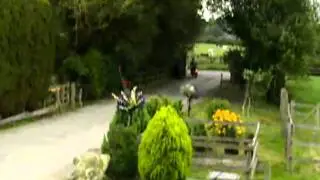 norton green 001