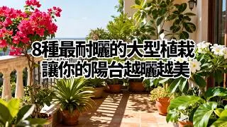 8種最耐曬的大型植栽 TOP 榜，讓你的陽台越曬越美！