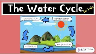 The Water Cycle for Kids!