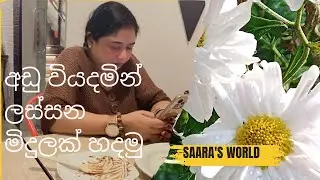 වියදමක් නැතුවම මිදුල ලස්සන කරගන්න මෙහෙම 🪴🪵🌵🤗#happylife#gardenplants #garden #food#flowers