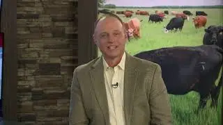 NCBA Provides a Premier Source of Cattle Producer Education