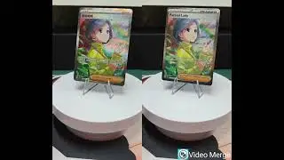 Parasol Lady SIR/SAR - Pokemon Card English S-Chinese Comparison