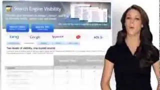 Search Engine Visibility