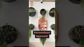 Same Hair Transplant, Different Results &mdash; Personalized Plans at Roots Hair Transplant Clinic💥