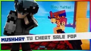 MUSHWAY M'ACCUSE DE CHEAT EN SKYWARS !!
