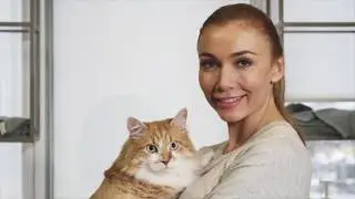 Cat Sitting Service in Bowie Maryland and Virginia