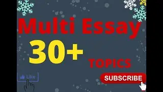 Multi topic Essay for BA students
