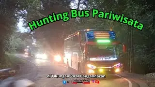 🚌HUNTING BUS PARIWISATA KEREN🤩DI TIKUNGAN VIRAL PANGANDARAN!🔥