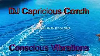 Ep 52- Conscious Vibrations - Deep Dance Mystery