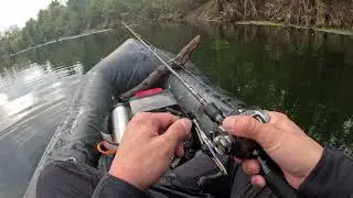 This is Why BFS Shines: Finesse Fishing for Finicky Bass in Clear Texas Water.