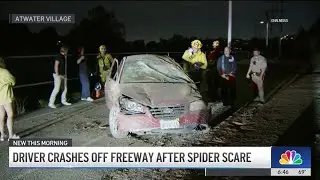 Driver says spider scare led to Atwater Village crash