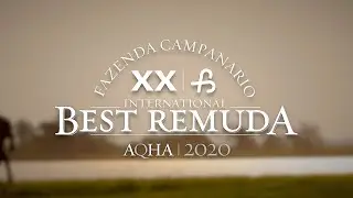Fazenda Campan&aacute;rio - AQHA International Best Remuda Winner 2020