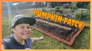 Creating a pumpkin patch on our One Acre Australian Homestead!