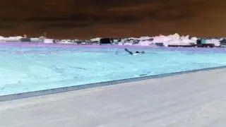 mode video negative eagle