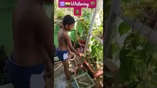 🕉️🇮🇳🌲🌴 watering #dailypractise👊#skating🛼#🤿swimming🏊&zwj;♀️#bostaf🤔#🥋judo🥋#olympicshooting🔫#🤸 gymnastics