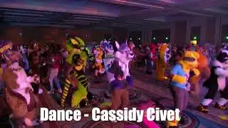 Megaplex 2021's ALL PITBULL DANCE by DJ Cassidy Civet (live furry con footage)