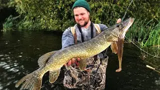 Aggressive Autumn Pike on Lures!