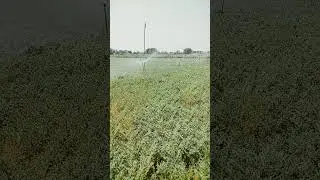irrigation system| gram