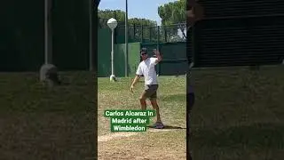 Carlos Alcaraz in Madrid watching his brother Jaime after Wimbledon #shorts #carlosalcaraz #alcaraz