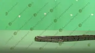 Snake crawling green screen video-48. Green screen animals stock footage.