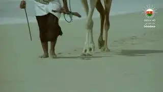 فن التغرود. شلة لا تبتعد عن ناظري يا غالي. أداء: الشاعر خليفة الوهيبي.