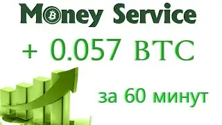Заработал 0.0570 BTC за час!!! (+570%)