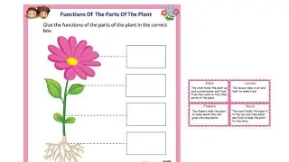 Functions of The parts of The Plant (class monitor kit activity) PD creation 