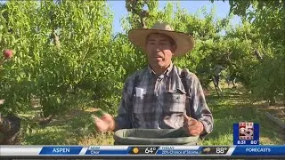 Farm Worker Shortage