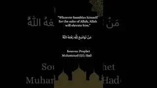 Humility raises your rank. #allah #patience #quotes #allahquran #quran #bayan #hadees #peace #dua