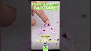 Turning Waste Paper into Fragrant Art! 🌺