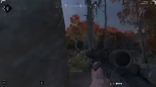 Lucky sniping moments (Hunt showdown)