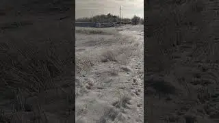 Поляна заснеженная искрится на солнце 8-ого Января
