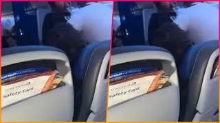 Shocking moment: United Airlines passenger bites flight attendant during mid-air meltdown, forces