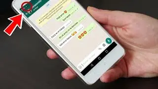 Como saber si Esp&iacute;an tu Whatsaap y que hacer para evitarlo