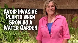 Avoid Invasive Plants When Growing a Water Garden