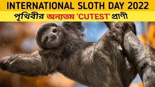 INTERNATIONAL SLOTH DAY : HAPPY SLOTH DAY 2022 | 20 OCTOBER | CUTEST ANIMALS IN THE WORLD IN BENGALI