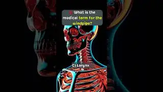 BIO questions ⁉️⁉️||Questions answers||#quiz #neetbiologyquiz #facts #anatomy #biologyquiz#yt
