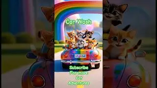 cat car wash#song #viral #disney #music #shorts #ytshorts #ai #christmas #animation @sstgloball