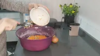 pastel de zanahoria y coco en ultrapro tupperware