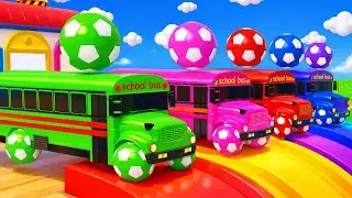 Wheels on The Bus + Baby Shark - Soccer ball shaped  wheels - Baby Nursery Rhymes & Kids Songs 