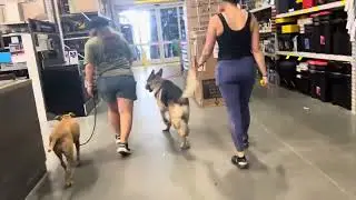 Kai and Gypsy