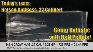 Going Ballistic - Hatsan BullBoss Bullpup .22 Caliber - AirgunWebTV Sponsored by H&N Pellets!