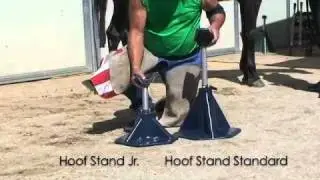 Hoof Stand Junior by Hoof-it