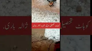 Kohat Tehsil Lachi severe hailstorm destroyed crops and vegetation | Pakistan Weather Forecast