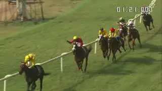 ALPHA GENE выигрывает трофей Racingpulse.in