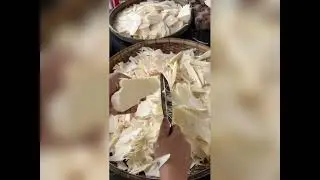 Vlog