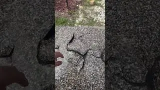 Epoxy flooring didn&rsquo;t bond & cure! 🤯 #badday #florida #concrete #coating #team #troubleshooting